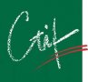 Logo CTIF